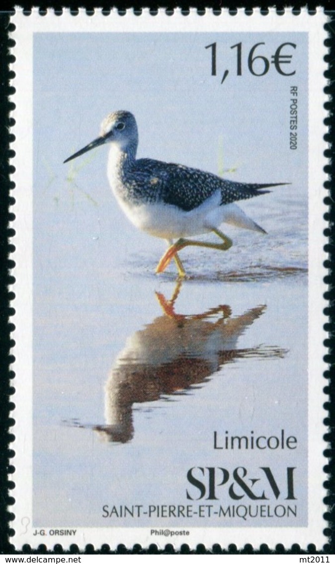 SAINT PIERRE Et MIQUELON   2020   MNH - " OISEAU LIMICOLE BIRD " -  1 VAL. - Altri & Non Classificati