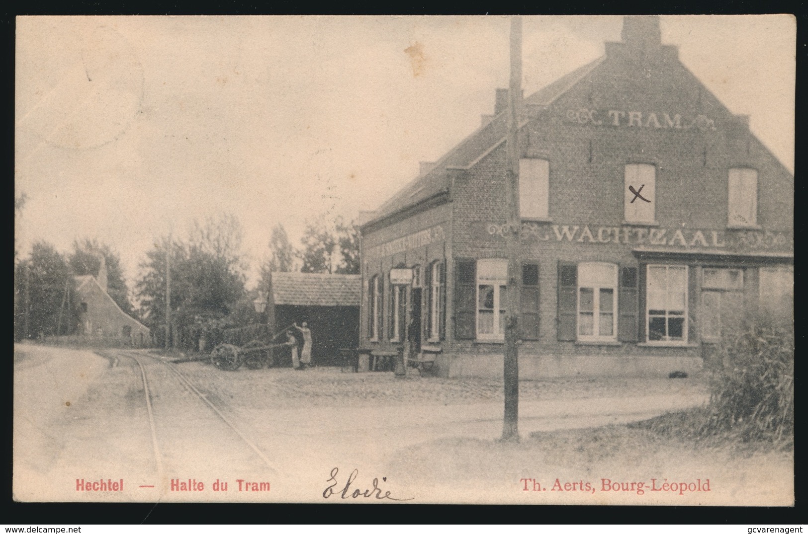 HECHTEL  HALTE DU TRAM - Hechtel-Eksel