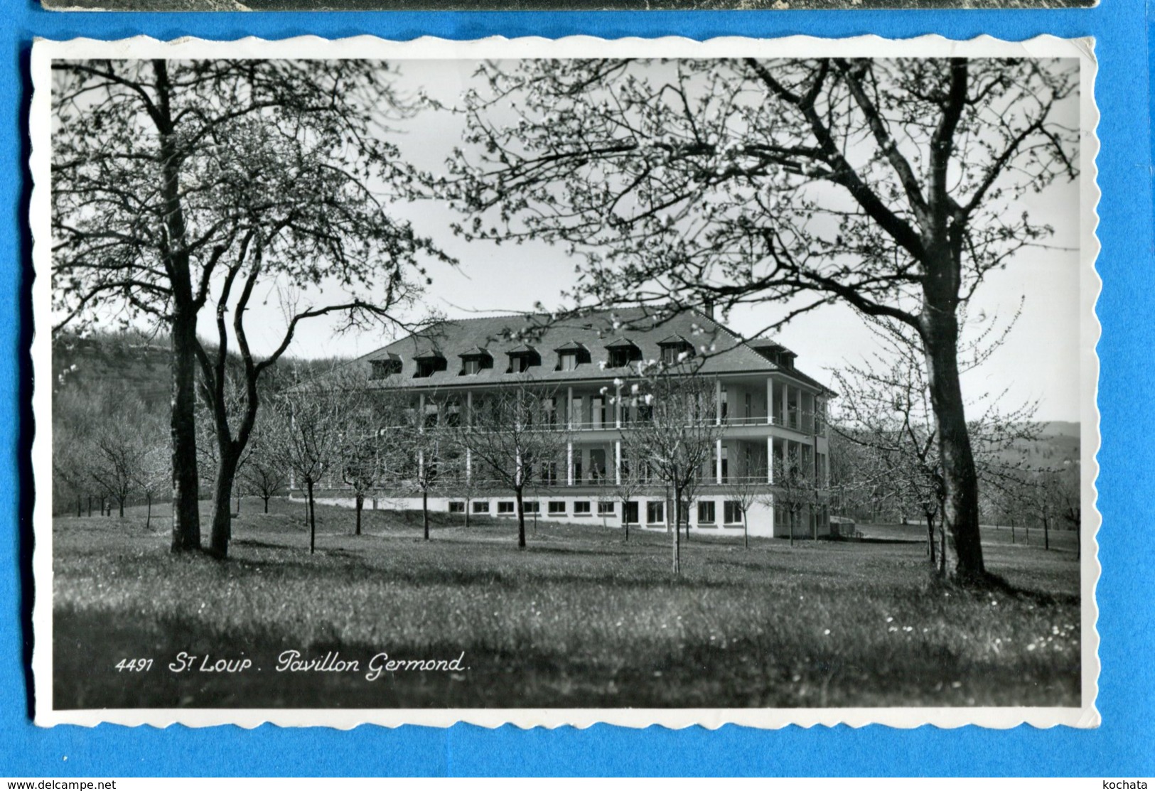 OLI287, St.-Loup, Pompaples Près De La Sarraz, Pavillon Germond, 4491, Circulée 1949 - La Sarraz