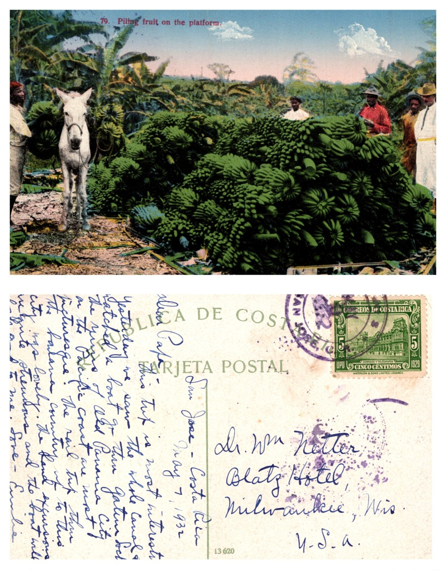 Piling Fruit On The Platform, Costa Rica - Costa Rica