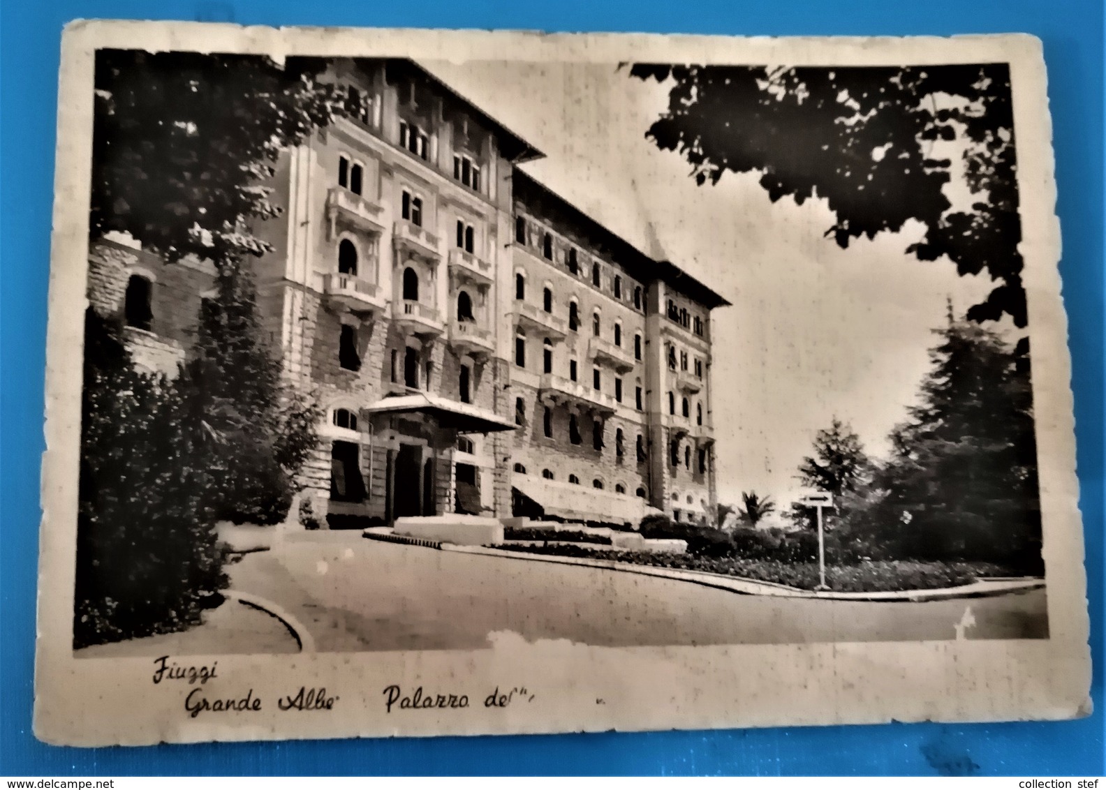 CARTOLINA ANTICA-FIUGGI-GRANDE ALBERGO PALAZZO DELLA FONTE-'900 - Altri & Non Classificati