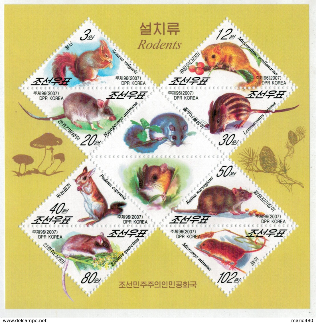 KOREA  DEL  NORD      RODENTS   2007   SHEET WITH  10  STAMPS  MNH ** - Corée Du Nord