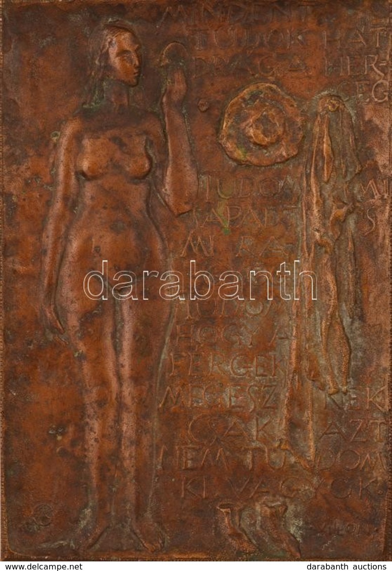 Czinder Antal (1937-): Női Akt (Villon Idézettel). Bronz Falikép, Jelzett, 27×18,5 Cm - Otros & Sin Clasificación