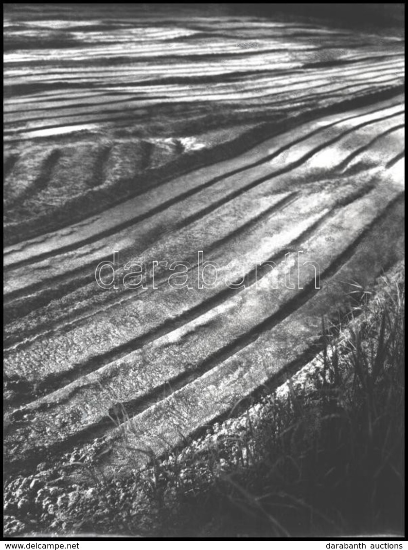 1987 Berekméri Zoltán (1923-1988): Földi Szalagok, Feliratozott Fotóművészeti Alkotás, 40×30 Cm - Otros & Sin Clasificación