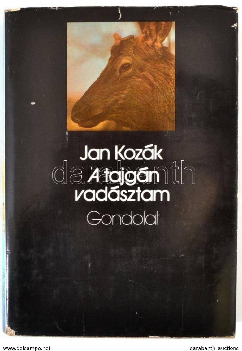 Jan Kozák: A Tagján Vadásztam. Ford.: Hubik István. Bp.,1977, Gondolat. Kiadói Egészvászon-kötés, Kiadói Papír Védőborít - Sin Clasificación