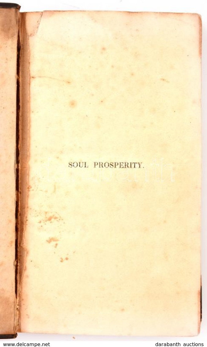 Halesworth: Soul Prosperity. (Bungay, én., J.&R. Childs), V+3+404 P. Angol Nyelven. Korabeli Aranyozott Gerincű Félbőr-k - Sin Clasificación