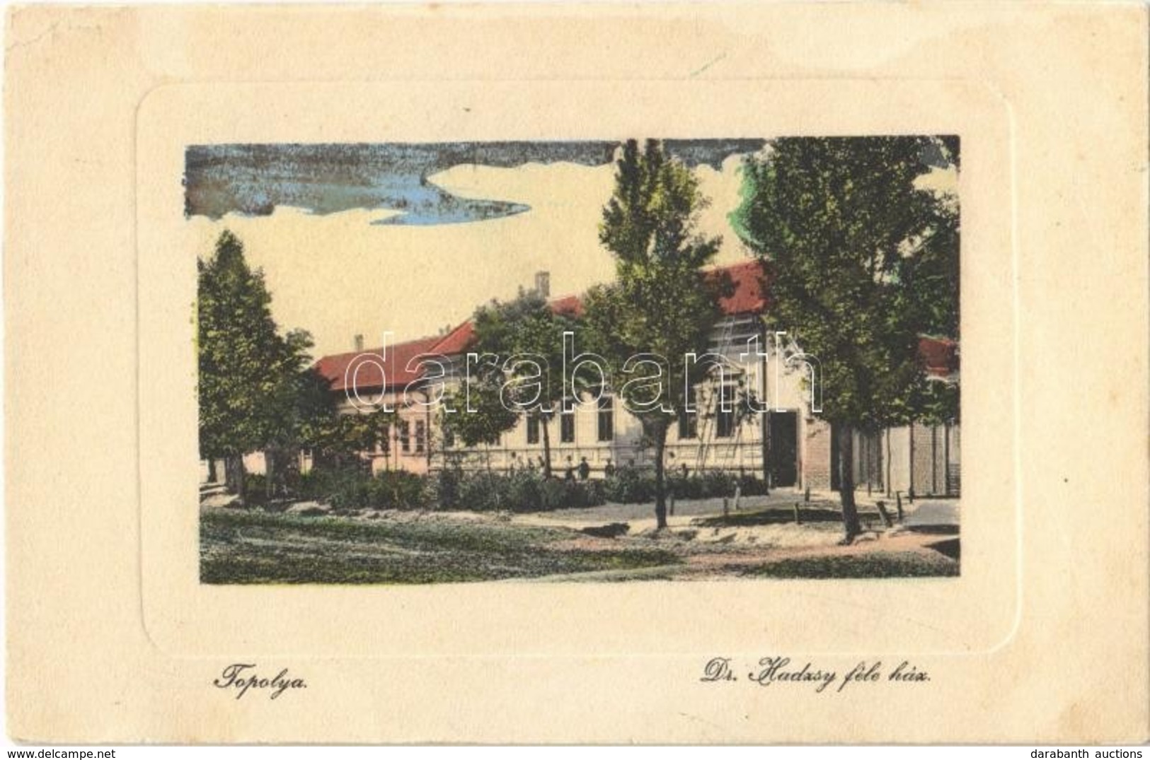 T2/T3 1914 Topolya, Bácstopolya, Backa Topola; Dr. Hadzsy Féle Ház, Egészségház, Létra. W. L. Bp. 3239. Riesz Béla Kiadá - Sin Clasificación