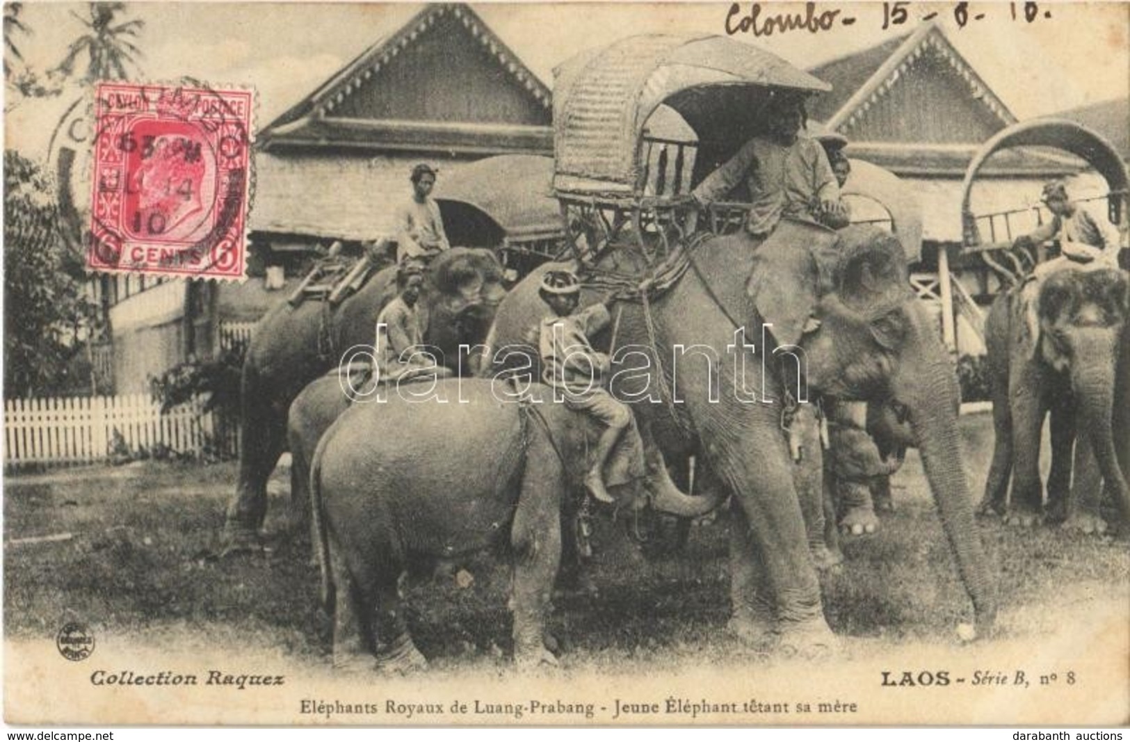 T1/T2 Luang-Prabang, Eléphants Royaux - Jeune Éléphant Tetant Sa Mére / Royal Elephants, TCV Card - Otros & Sin Clasificación