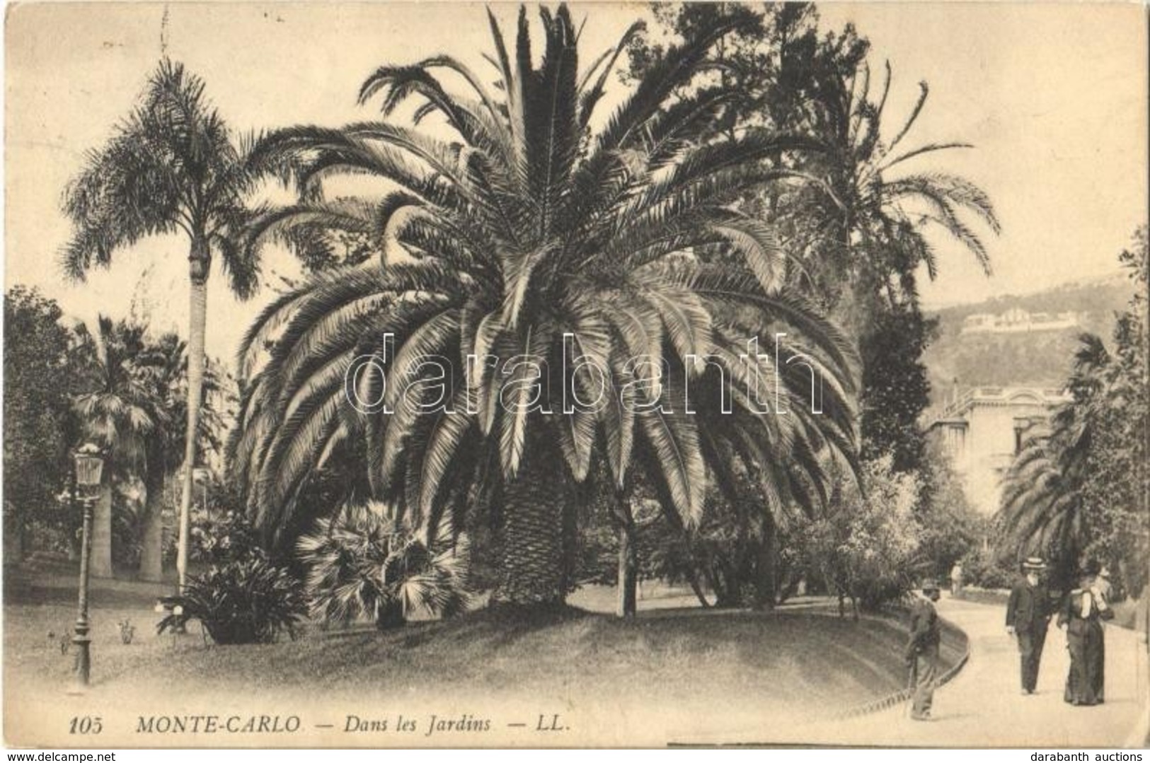 * T2 Monte-Carlo, Dans Les Jardins / Garden, Palm Tree - Otros & Sin Clasificación