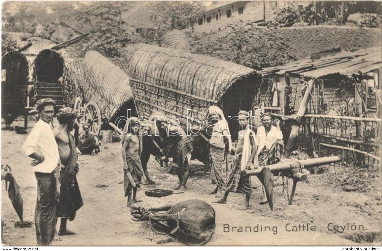 ** T2 Ceylon, Branding Cattle, Folklore - Other & Unclassified