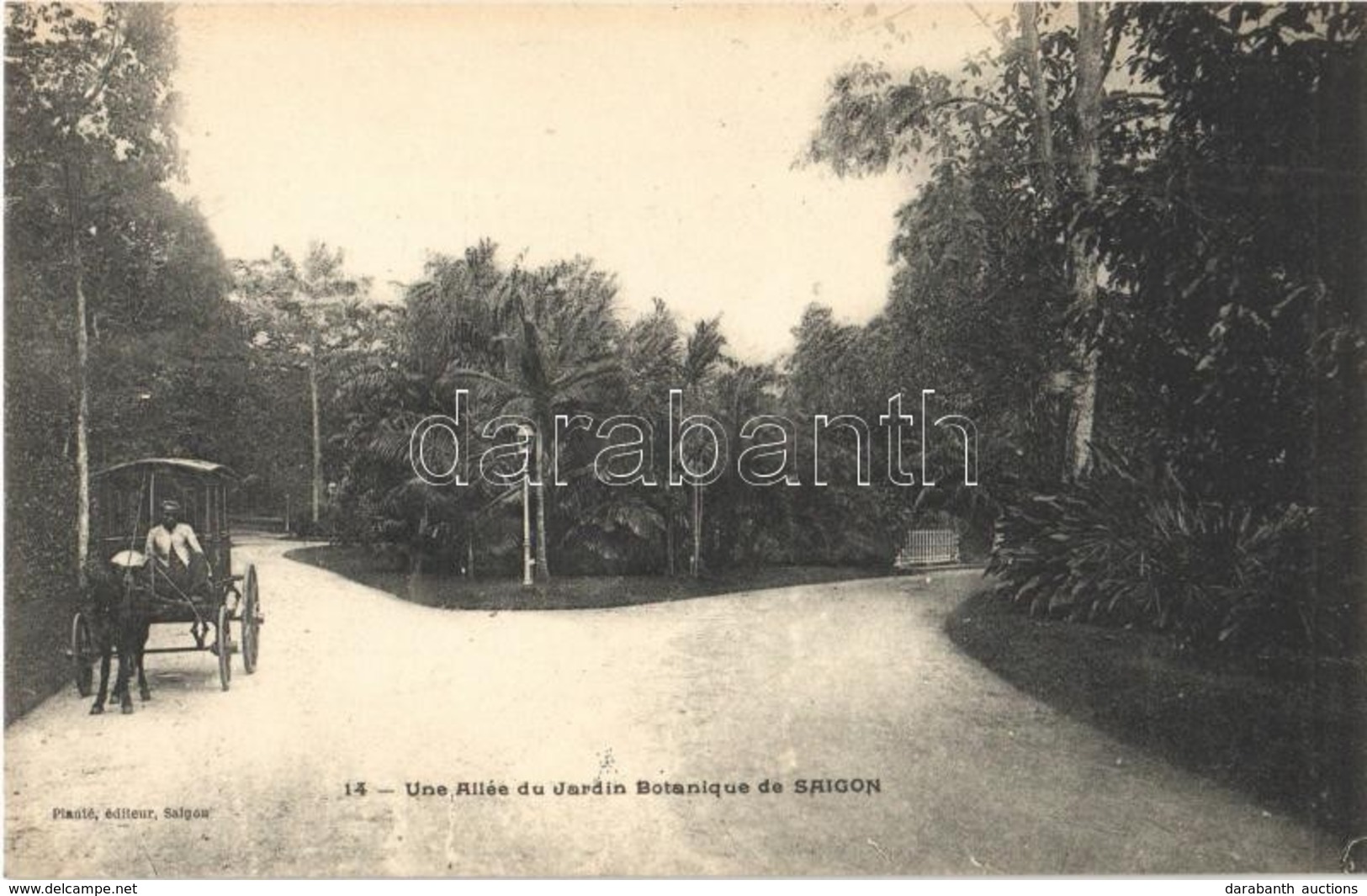 ** T1 Saigon, Ho Chi Minh City; Une Allée Du Jardin Botanique De Saigon / Botanical Garden - Otros & Sin Clasificación