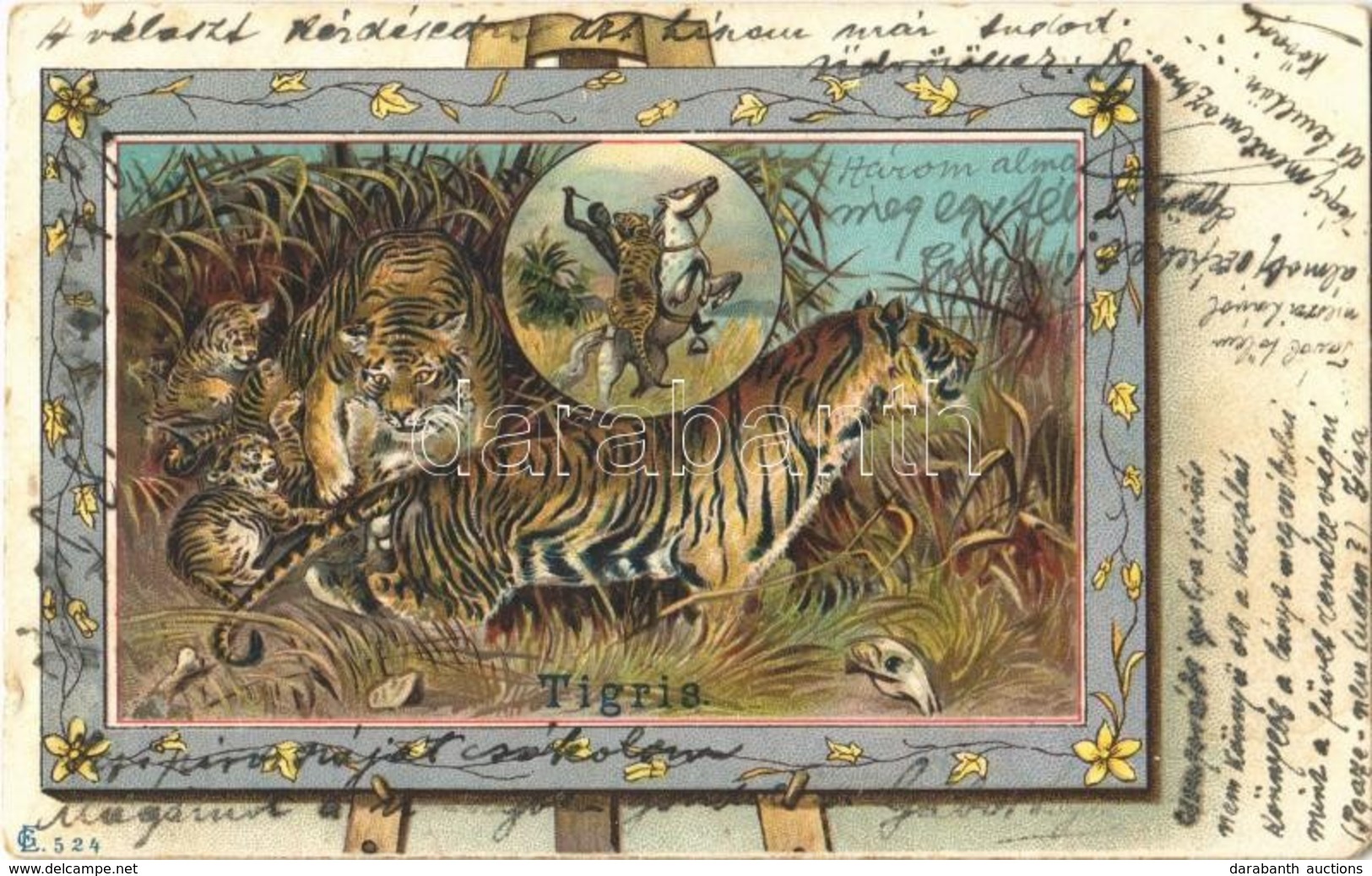 T2/T3 1900 Tigris / Tiger, Art Nouveau, Litho  (EK) - Sin Clasificación