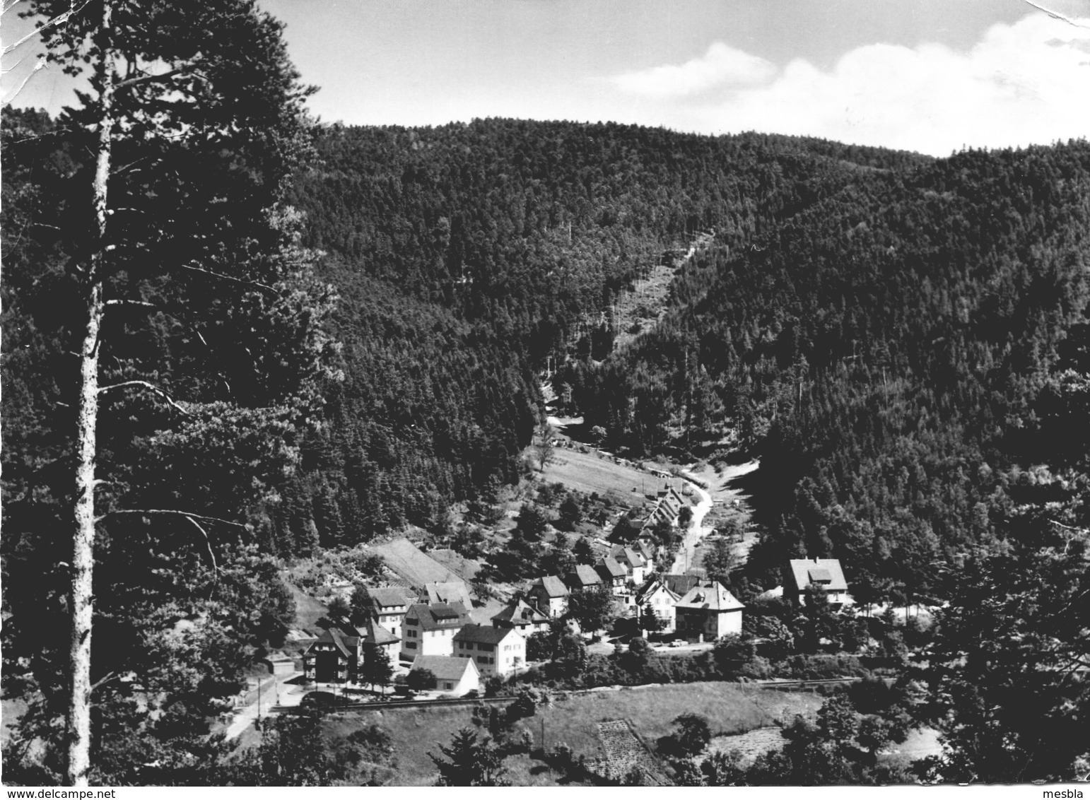 CPSM -  Luftkurort  Hornberg - Schwarzwaldbahn -   Stadtteil  Rubersbach - Hornberg