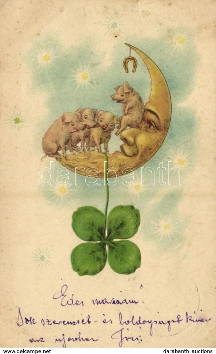 T2/T3 1900 New Year Greeting Art Postcard With Moon And Pigs. Litho - Sin Clasificación