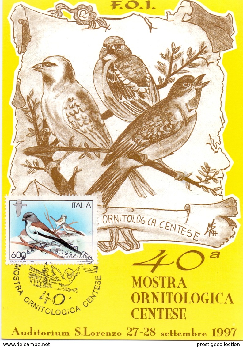 MOSTRA ORNITOLOGICA FERRARA CENTO  MAXIMUM  POST CARD  (GENN201405) - Passeri