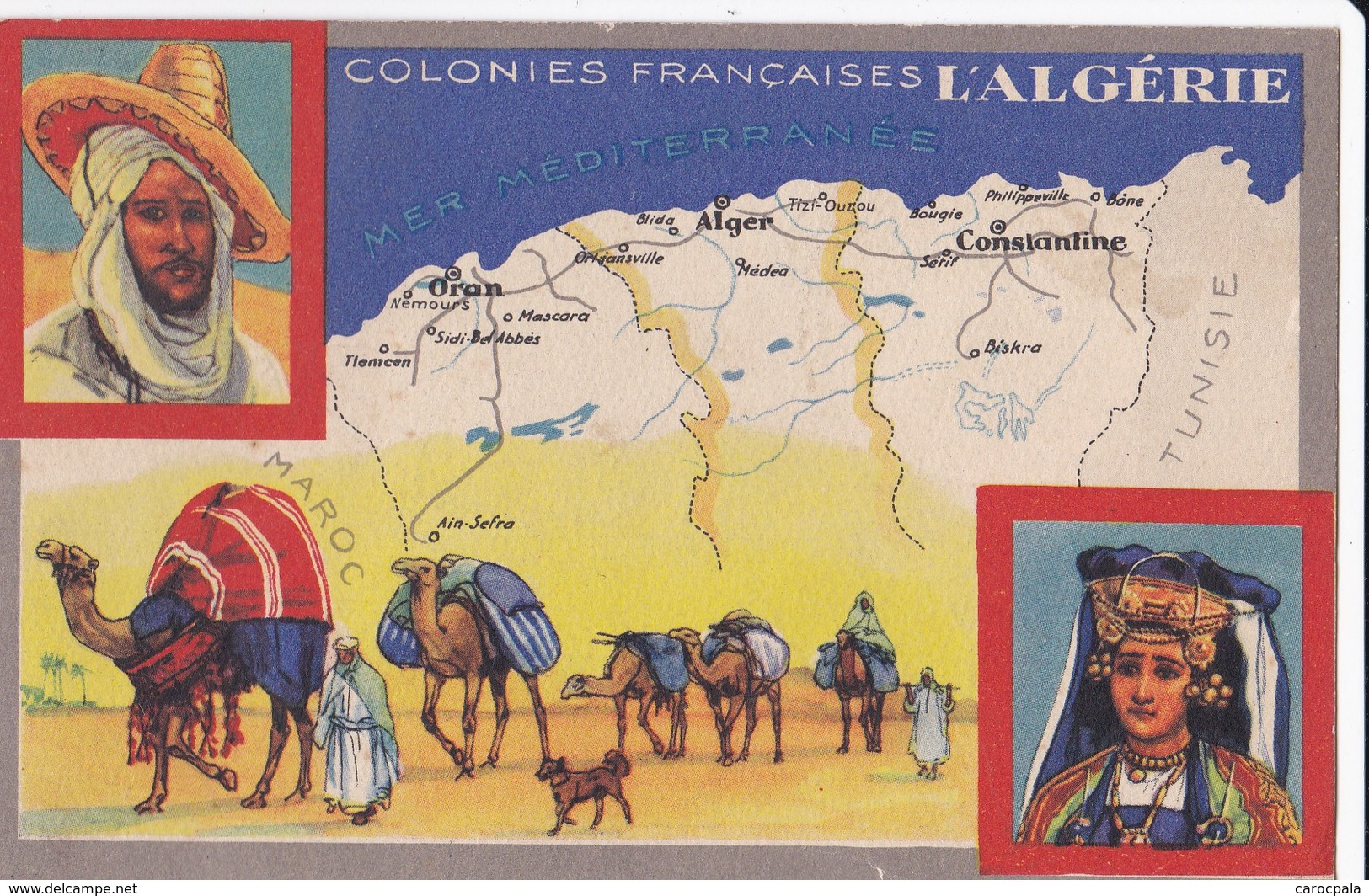Carte Vers 1920 Les Colonies Françaises : ALGERIE (publicité Lion Noir) - Altri & Non Classificati