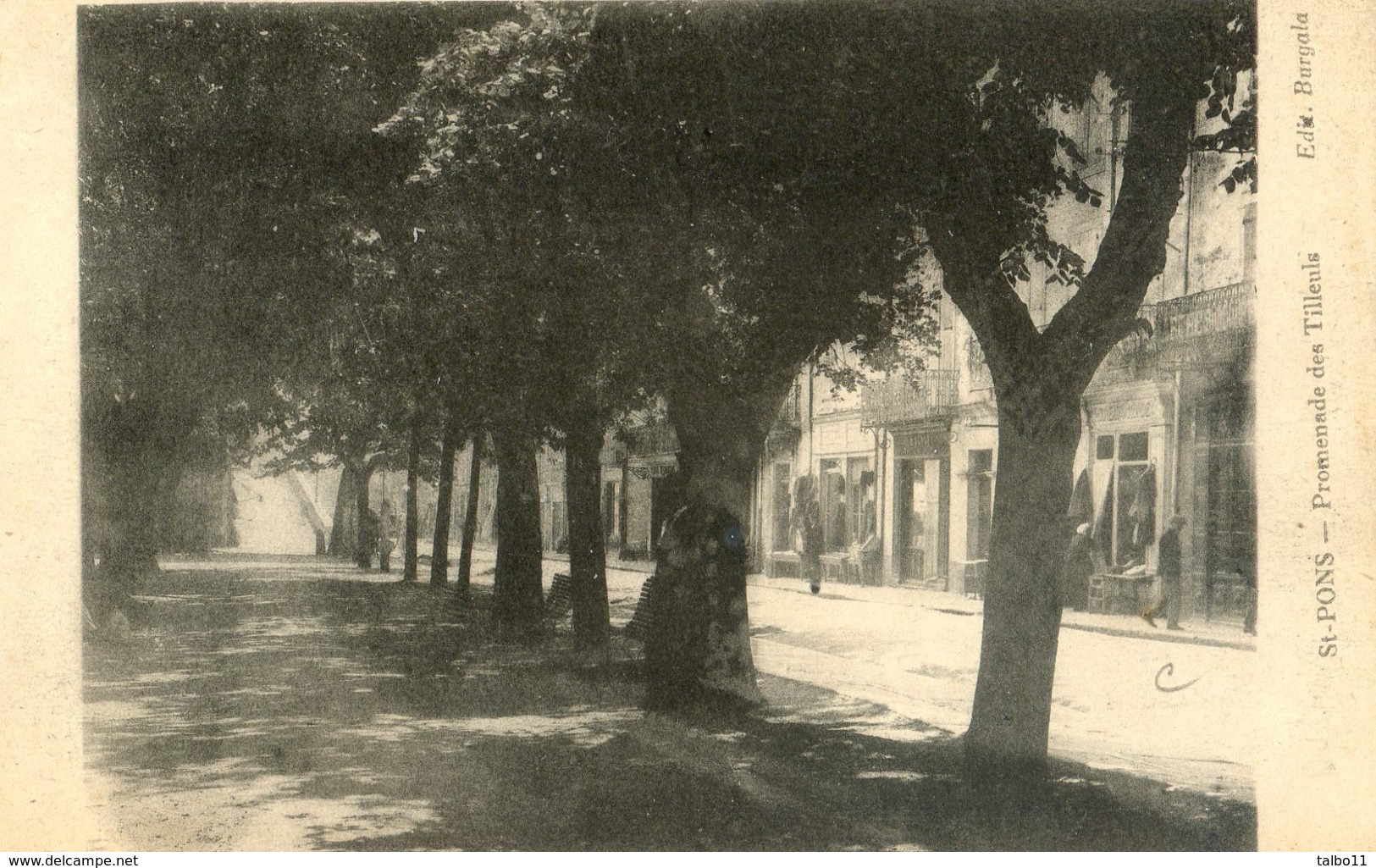 34 - Saint Pons De Thomières - Promenade Des Tilleuls - Saint-Pons-de-Thomières