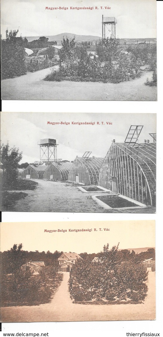 Hongrie - Magyar-Belga - Lot De 3 Cartes Postales - Kertgazdasági - R.T. Vác - 2 Scans. - Ungheria