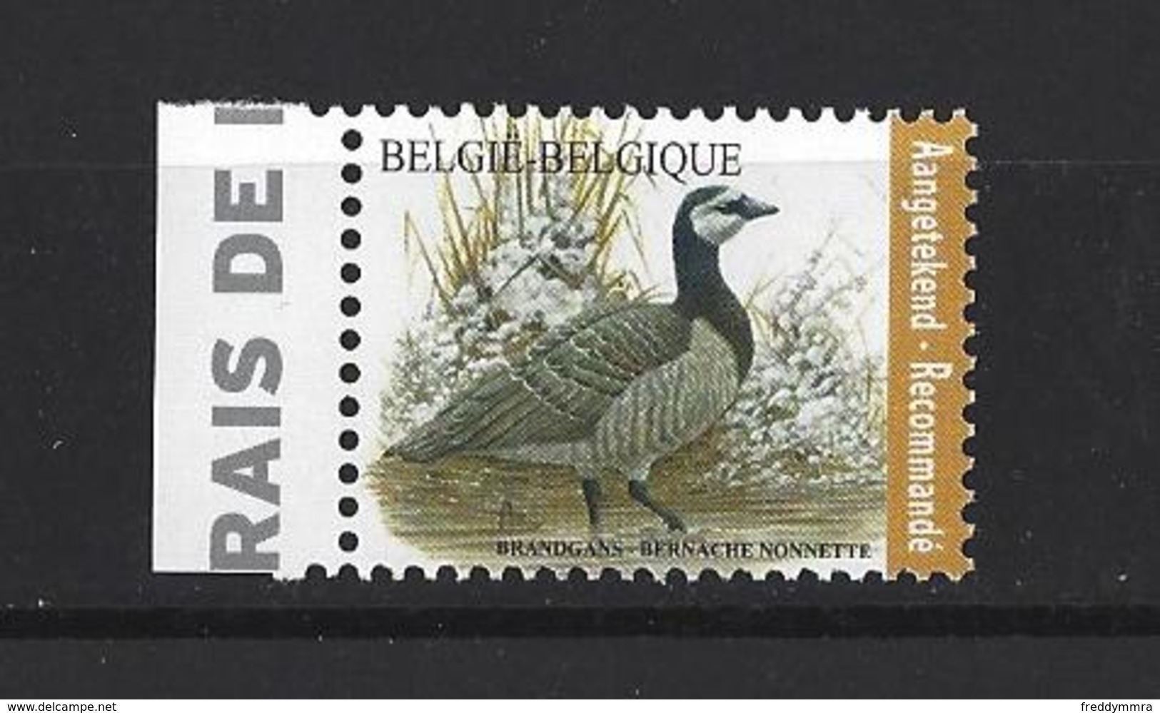 Belgique: Nouveauté 2020 (Pour Recommandé) Bernache Nonnette ** - 1985-.. Birds (Buzin)