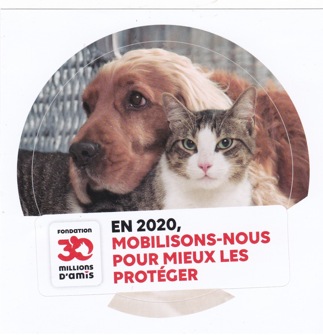 Autocollant Chien Chat 2020 CAT DOG - Sonstige & Ohne Zuordnung