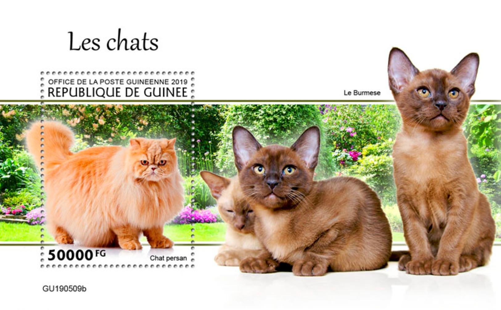 Guinee 2019 Cats S/S GU190509 - Autres & Non Classés