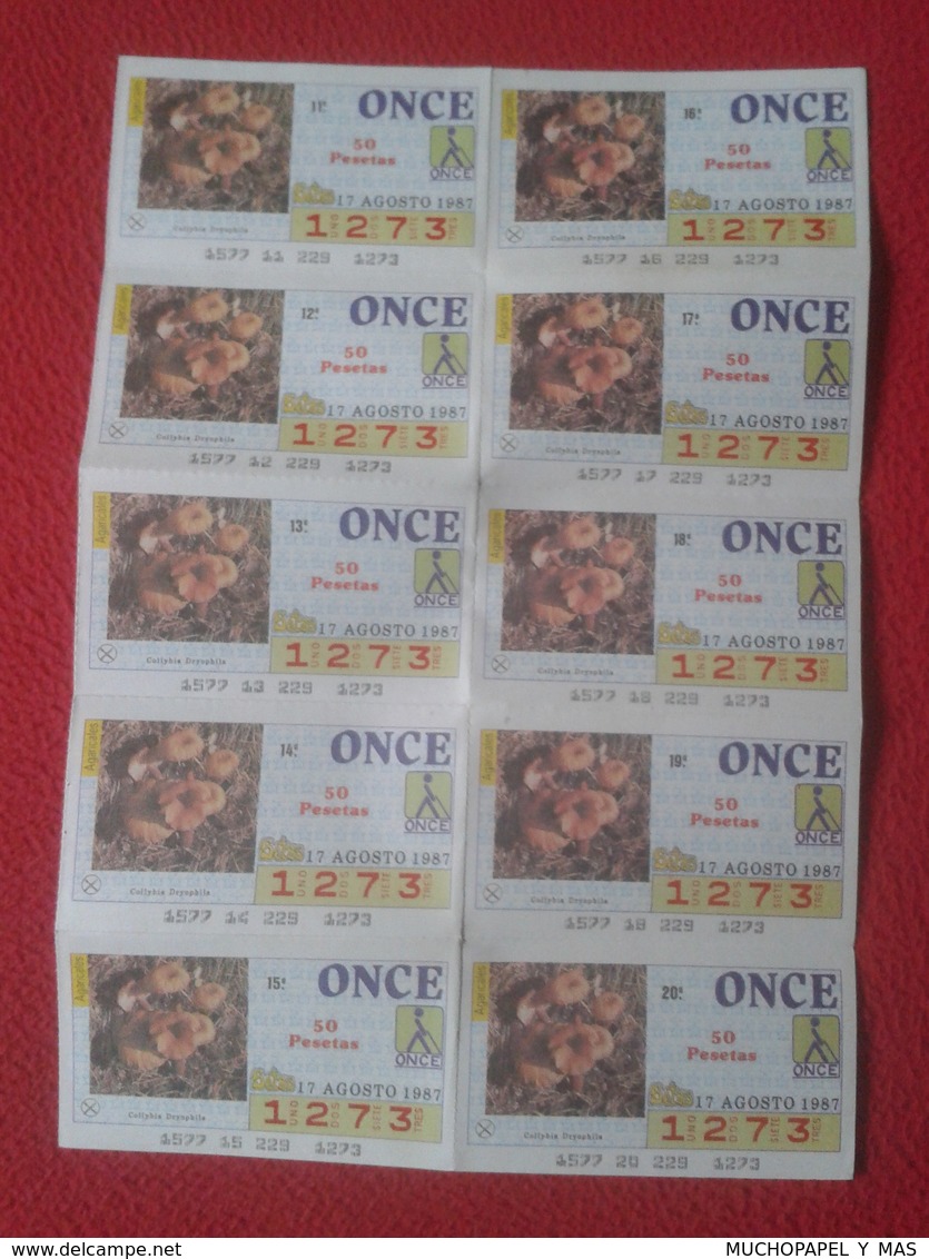 CUPÓN DE LA ONCE SPANISH LOTTERY CIEGOS SPAIN LOTERÍA ESPAÑA BLIND 1987 SETA SETAS MICOLOGÍA HONGOS MUSHROOM AGARICALES - Billetes De Lotería