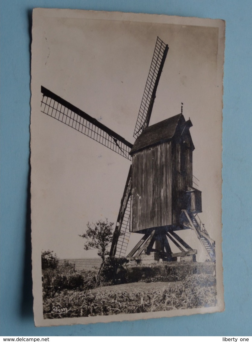 MONT-CASSEL Le Moulin ( Molen / Mill ) ( CIM ) Anno 195? ( Voir Photos ) ! - Dunkerque