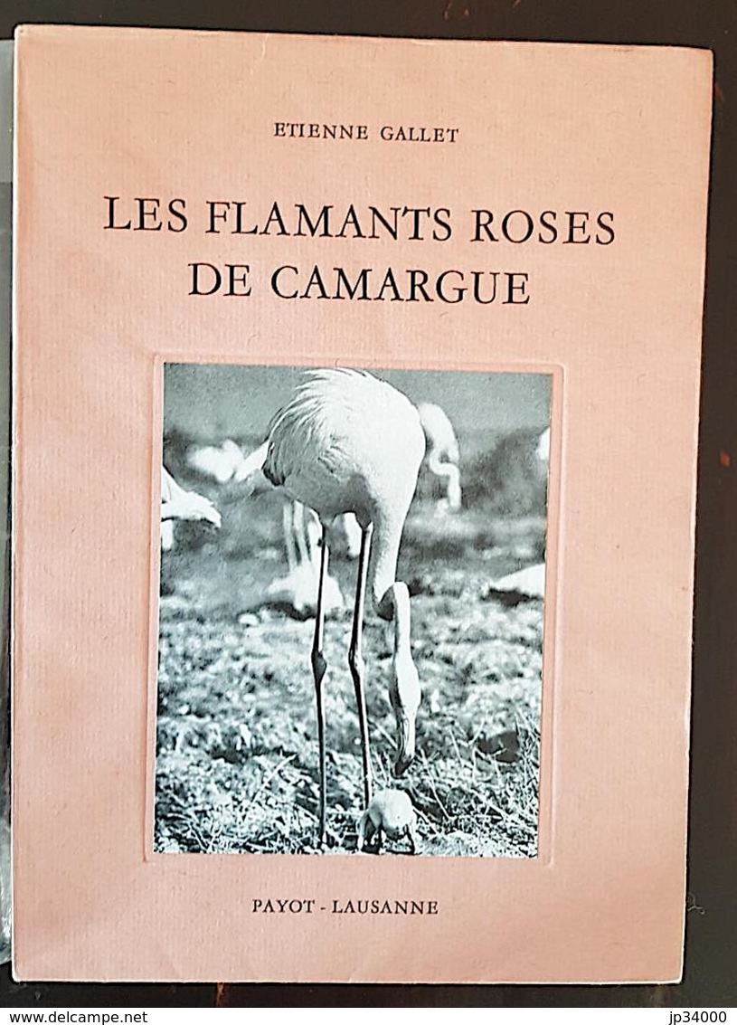 LES FLAMANTS ROSE DE CAMARGUE De Etienne Gallet. Bel état (régionalisme Languedoc) - Languedoc-Roussillon