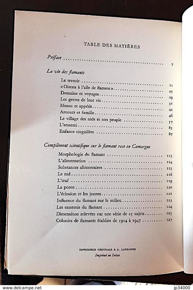 LES FLAMANTS ROSE DE CAMARGUE De Etienne Gallet. Bel état (régionalisme Languedoc) - Languedoc-Roussillon