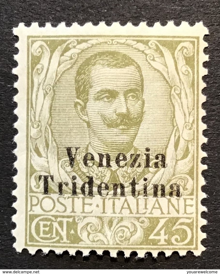 Trentino-Alto Adige 1918 Sa. 25 = 260€ Mint * VF „VENEZIA TRIDENTINA“ (1914-18 War Italy Regno D‘ Italia Italie - Trentino