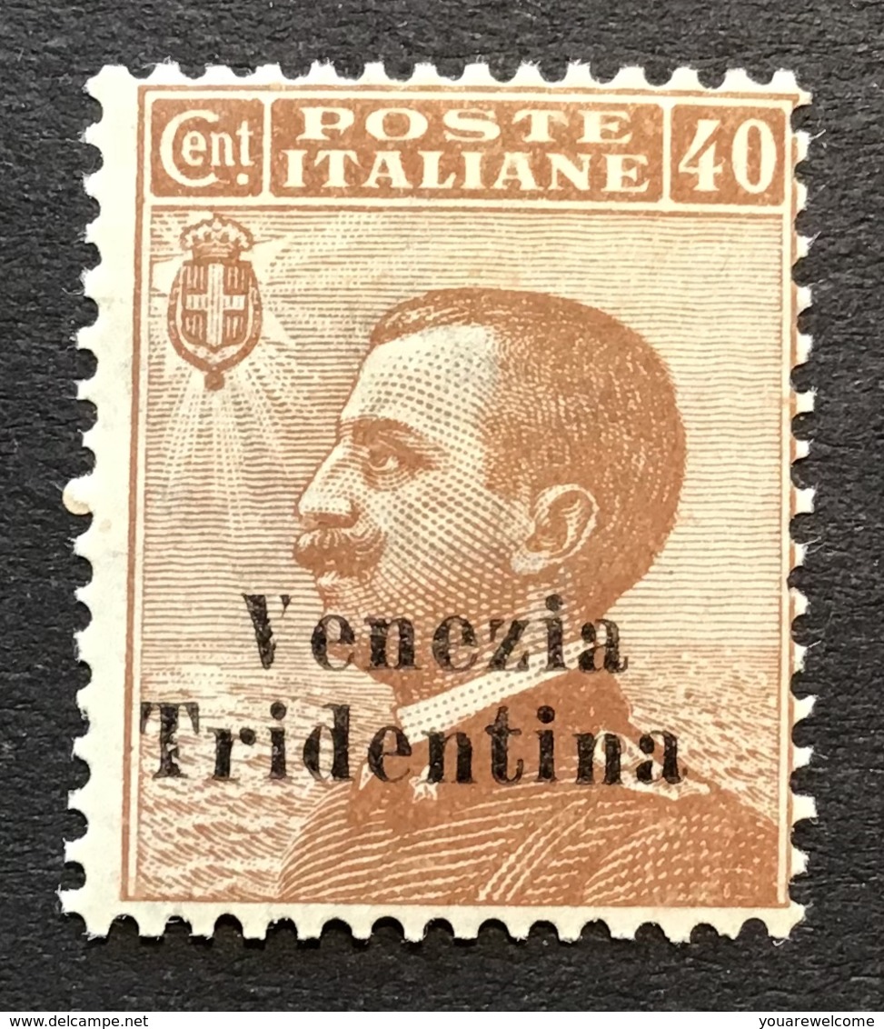 Trentino-Alto Adige 1918 Sa. 24 = 450€ Mint * VF „VENEZIA TRIDENTINA“ (1914-18 War Italy Regno D‘ Italia Italie - Trentino