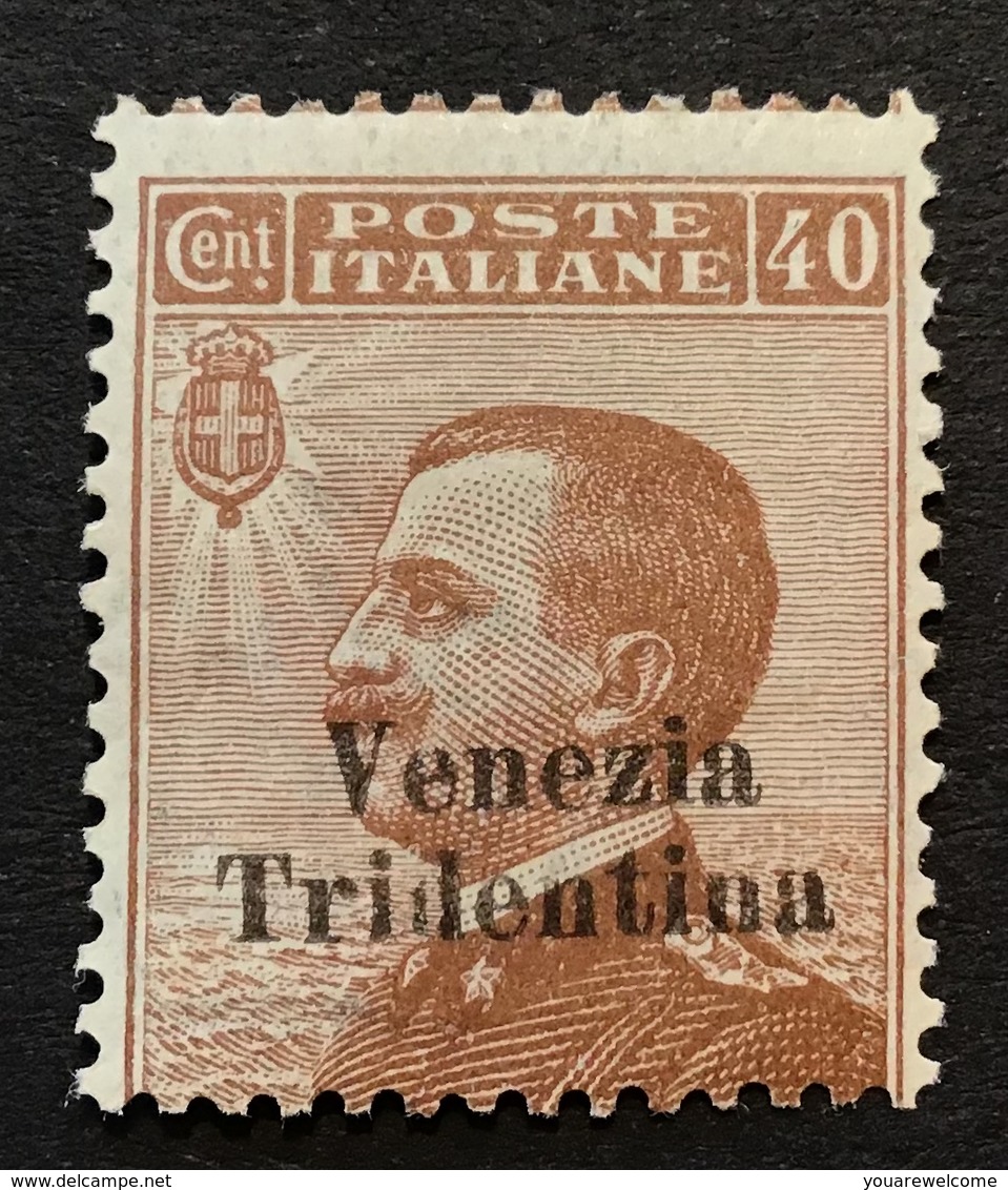 Trentino-Alto Adige 1918 Sa. 24 = 450€ Mint * VF „VENEZIA TRIDENTINA“ (1914-18 War Italy Regno D‘ Italia Italie - Trento