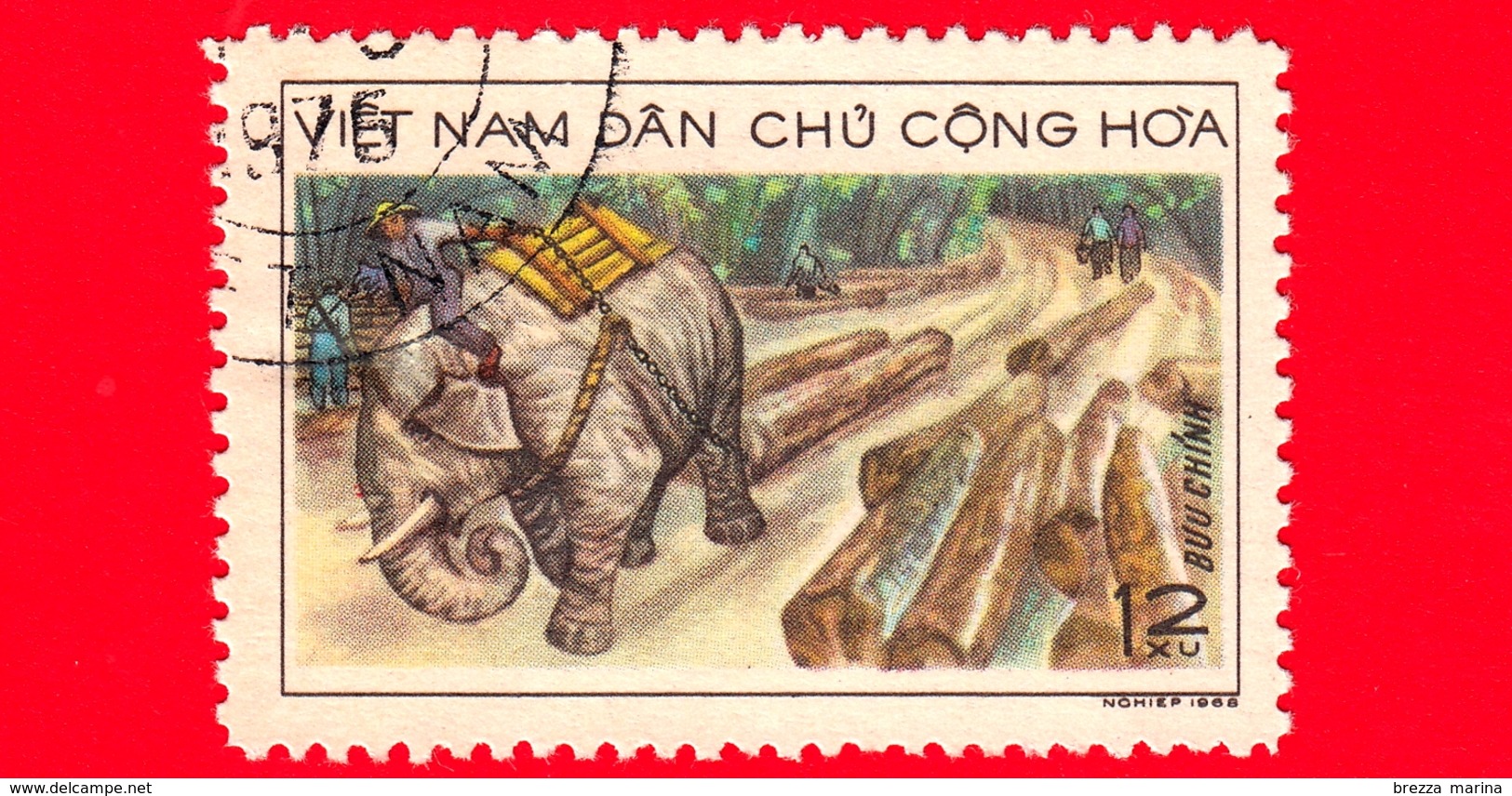 VIETNAM Nord - Viet Nam - 1969 (1968) - Elefante Da Lavoro (Elephas Maximus) Durante Il Trasporto Del Legname - 12 - Vietnam