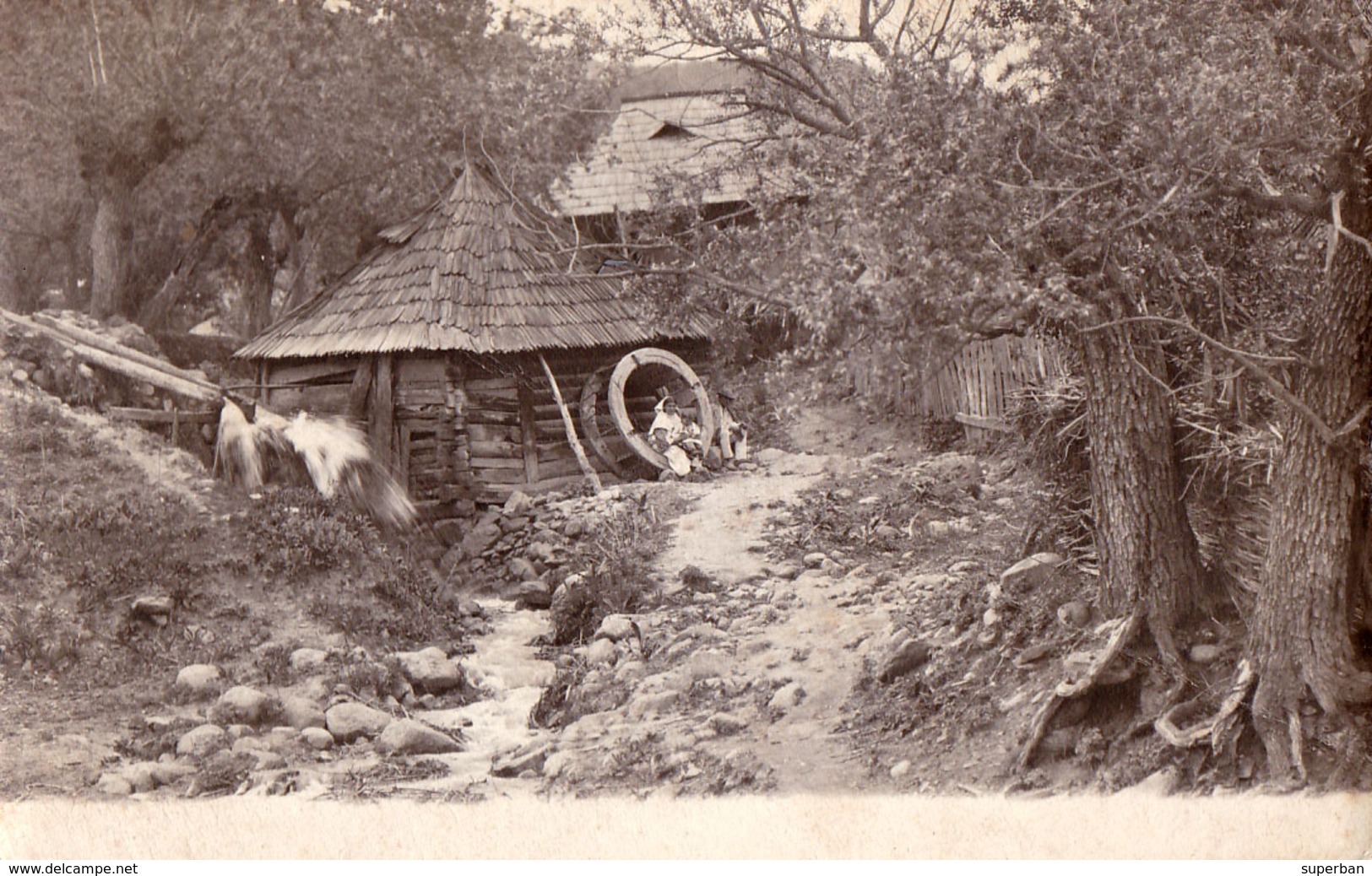 MOULIN À EAU / WATER MILL - PHOTO APPLIQUÉE SUR UNE CARTE ENTIER POSTAL / REAL PHOTO On STATIONERY CARD ~ 1900 (ad728) - Romania