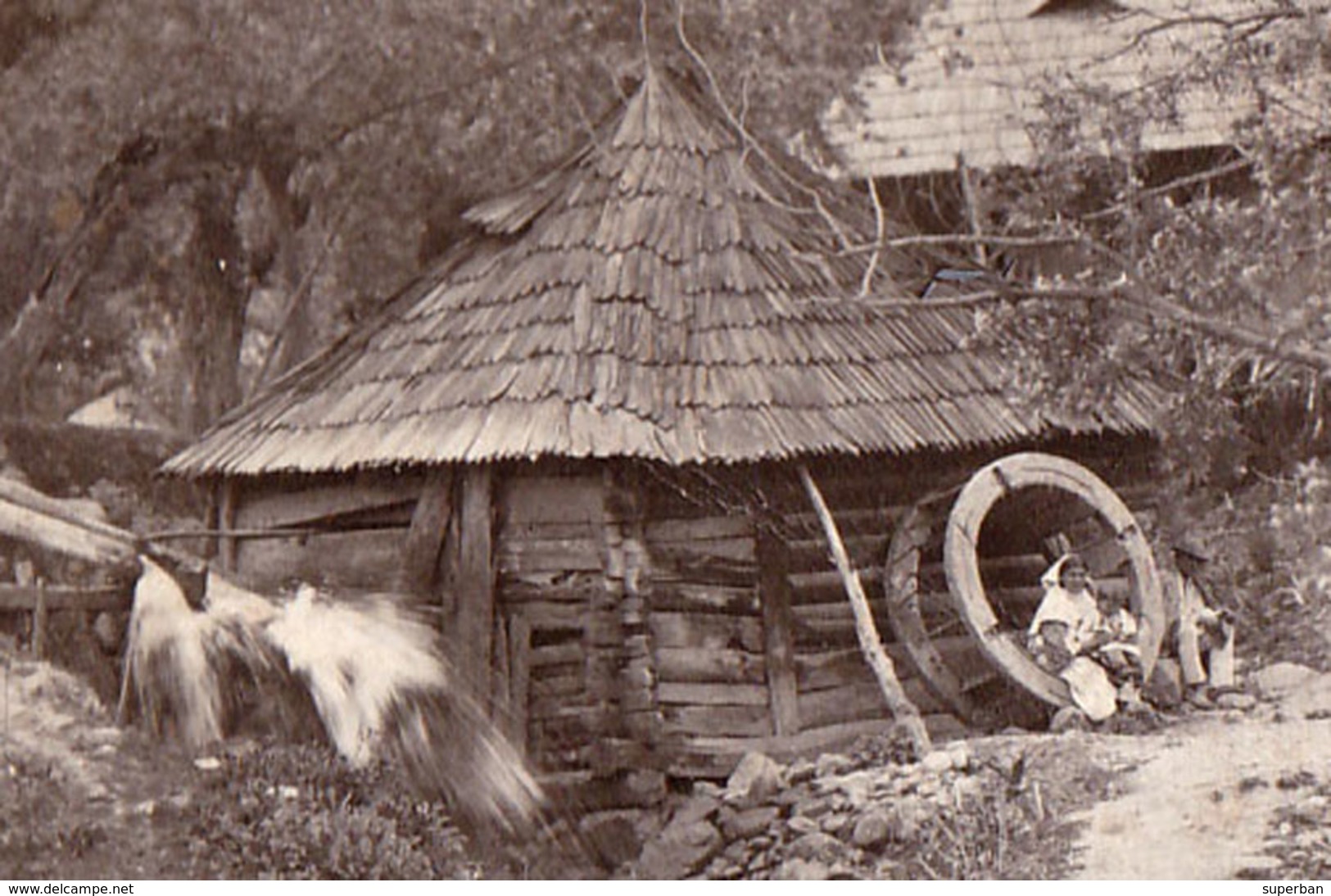MOULIN À EAU / WATER MILL - PHOTO APPLIQUÉE SUR UNE CARTE ENTIER POSTAL / REAL PHOTO On STATIONERY CARD ~ 1900 (ad728) - Romania