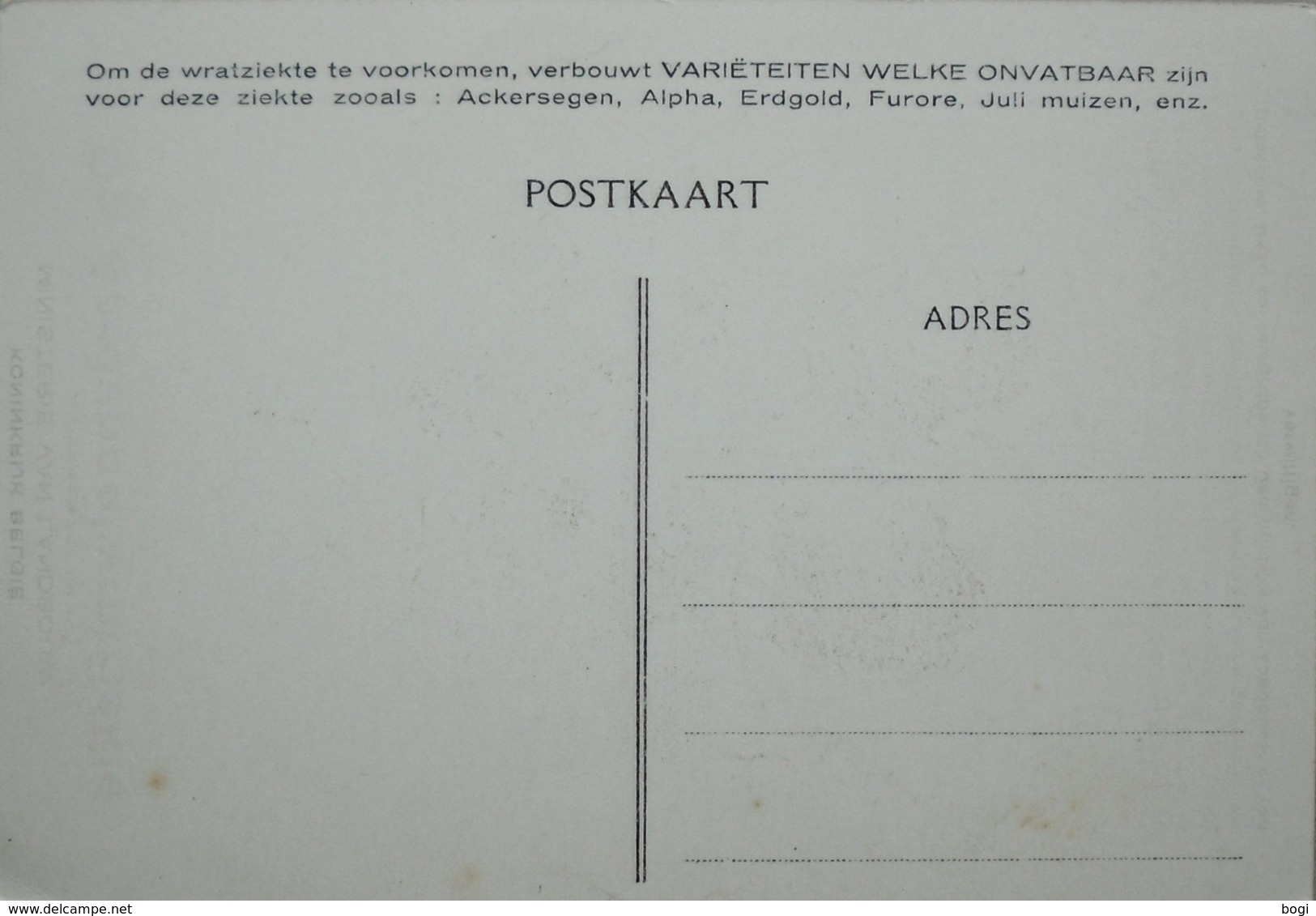 België Ministerie Van Landbouw Aardappelwratziekte Op Alpha, Muizen, Furore, Ackersegen, Erdgold - Cultivation