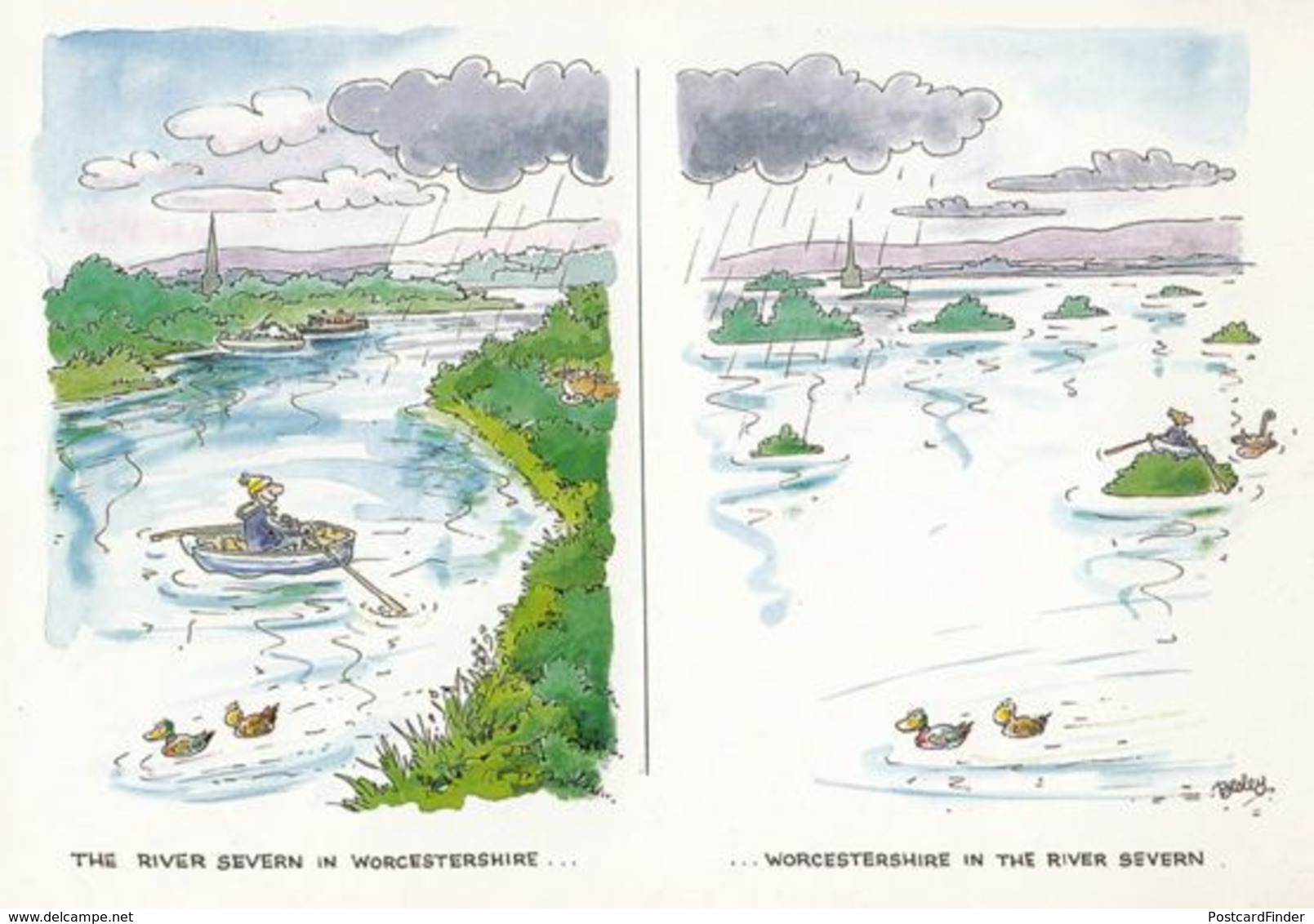 Rowing Boat On The River Severn Worcester Comic Humour Postcard - Humour