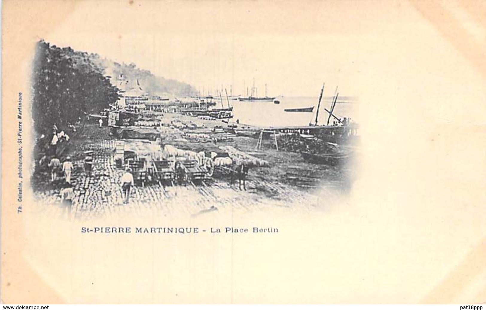 MARTINIQUE - ST PIERRE La Place Bertin ( Animation Attelages ) CPA Précurseur - Antilles West Indies Caribbean Caraïbes - Autres & Non Classés