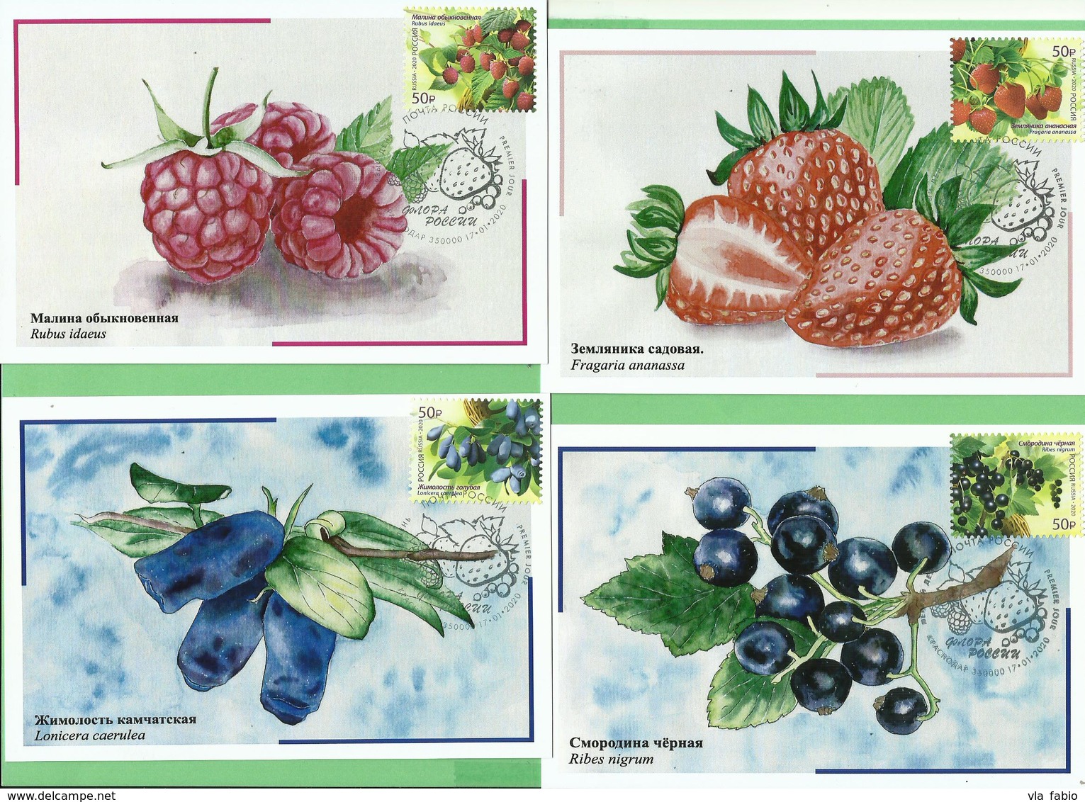 RUSSIA 2020 Russia 4 Maximum Cards Cancelled  KRASNODAR Flora Of Russia. Berries - Maximum Cards