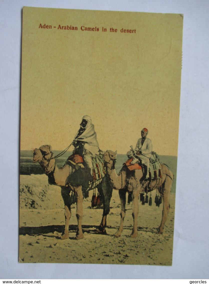 LA  REUNION  A  MARSEILLE  N°3    -   ADEN  -  ARABIAN  CAMELS  .....       TTB - Poste Maritime