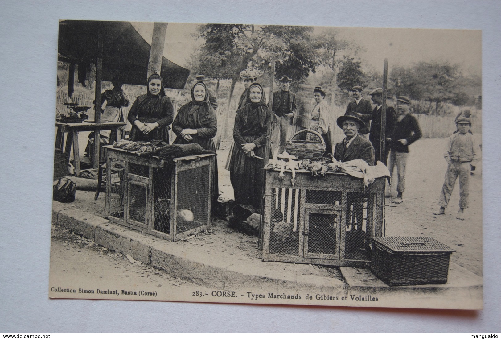 CORSE.   Types Marchands De Gibiers Et Volailles - Autres & Non Classés