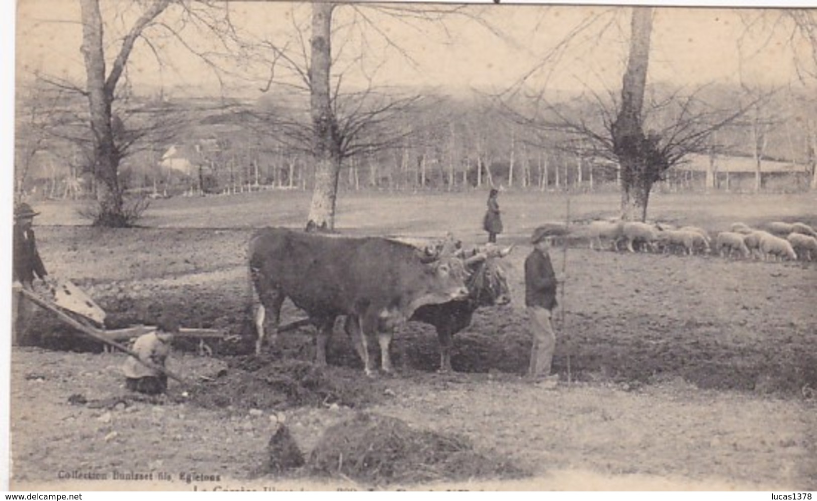 19 CORREZE ILLUSTREE LE PONT-D'EGLETONS PATURAGE ET LABOUR - ATTELAGE BOEUFS / RARE + - Egletons