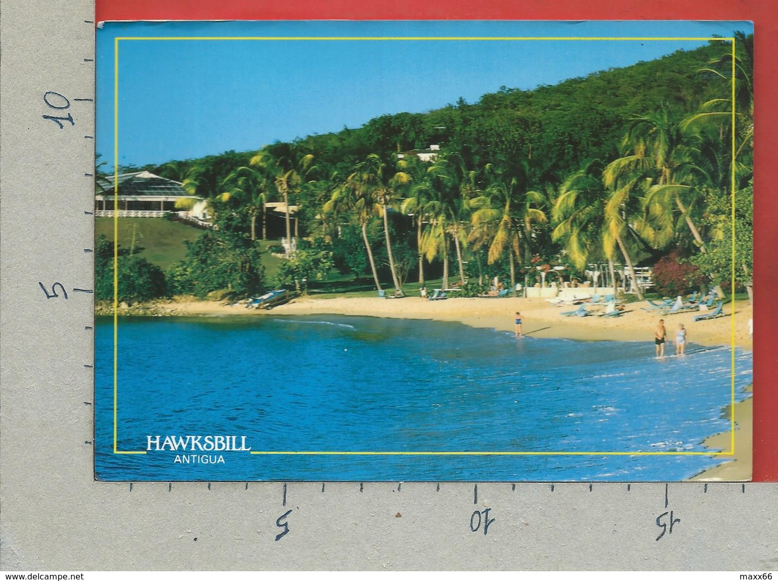 CARTOLINA VG ANTIGUA E BARBUDA - ANTIGUA - Hawksbill - 12 X 17 - 1992 - Antigua E Barbuda