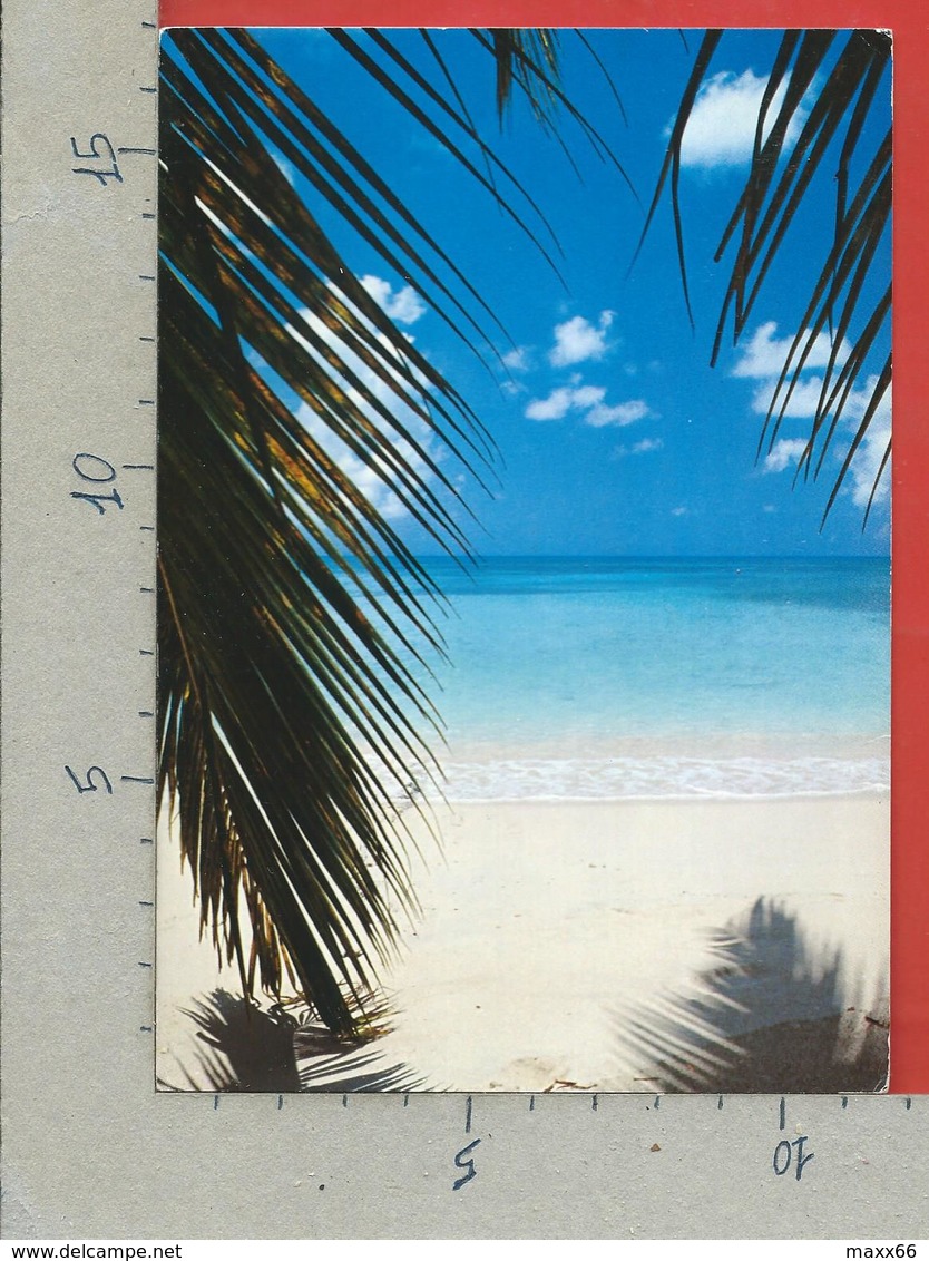 CARTOLINA VG ANTIGUA E BARBUDA - ANTIGUA - Dreams - 12 X 17 - 1992 - Antigua En Barbuda