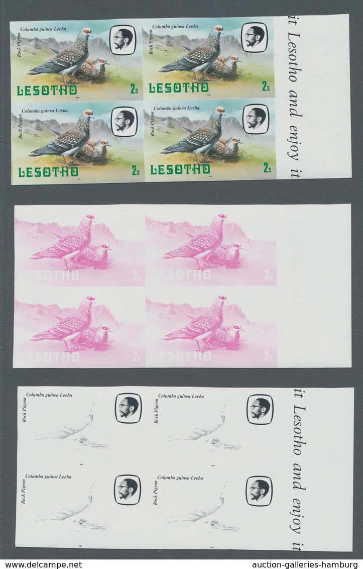 Lesotho: 1982, Freimarkenausgabe 2 S. Guineataube In Fünf Phasendrucken Und Fertigem Vielfarbendruck - Lesotho (1966-...)