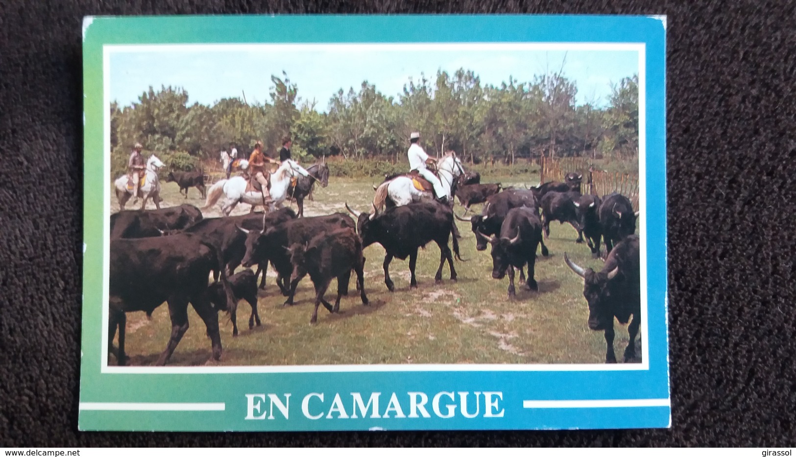 CPSM CHEVAL CHEVAUX CAMARGUE MANADE DE TAUREAUX CAMARGUAIS ED SL CLICHE AUBANEL - Horses