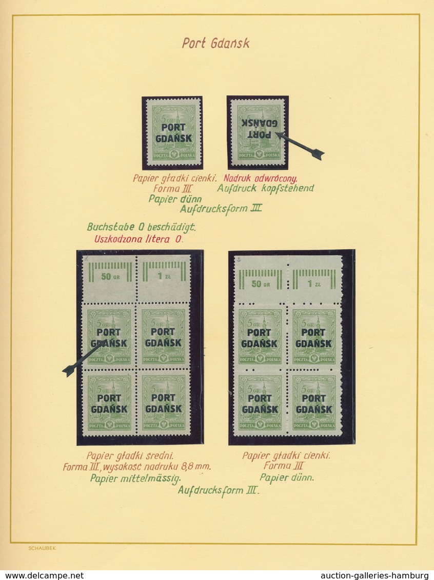 Danzig - Polnische Post (Port Gdansk): 1920/1938, Umfangreiche Studiensammlung Aller Ausgaben Mit Ei - Other & Unclassified