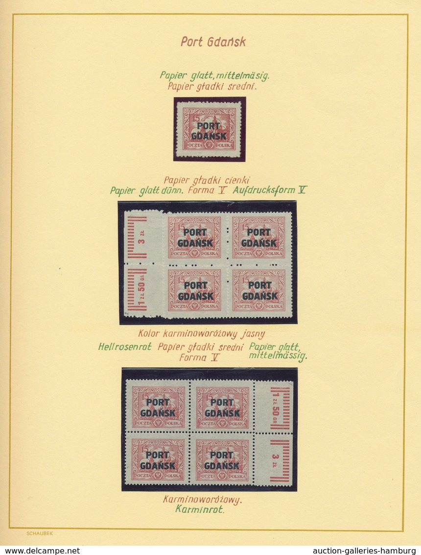 Danzig - Polnische Post (Port Gdansk): 1920/1938, Umfangreiche Studiensammlung Aller Ausgaben Mit Ei - Other & Unclassified