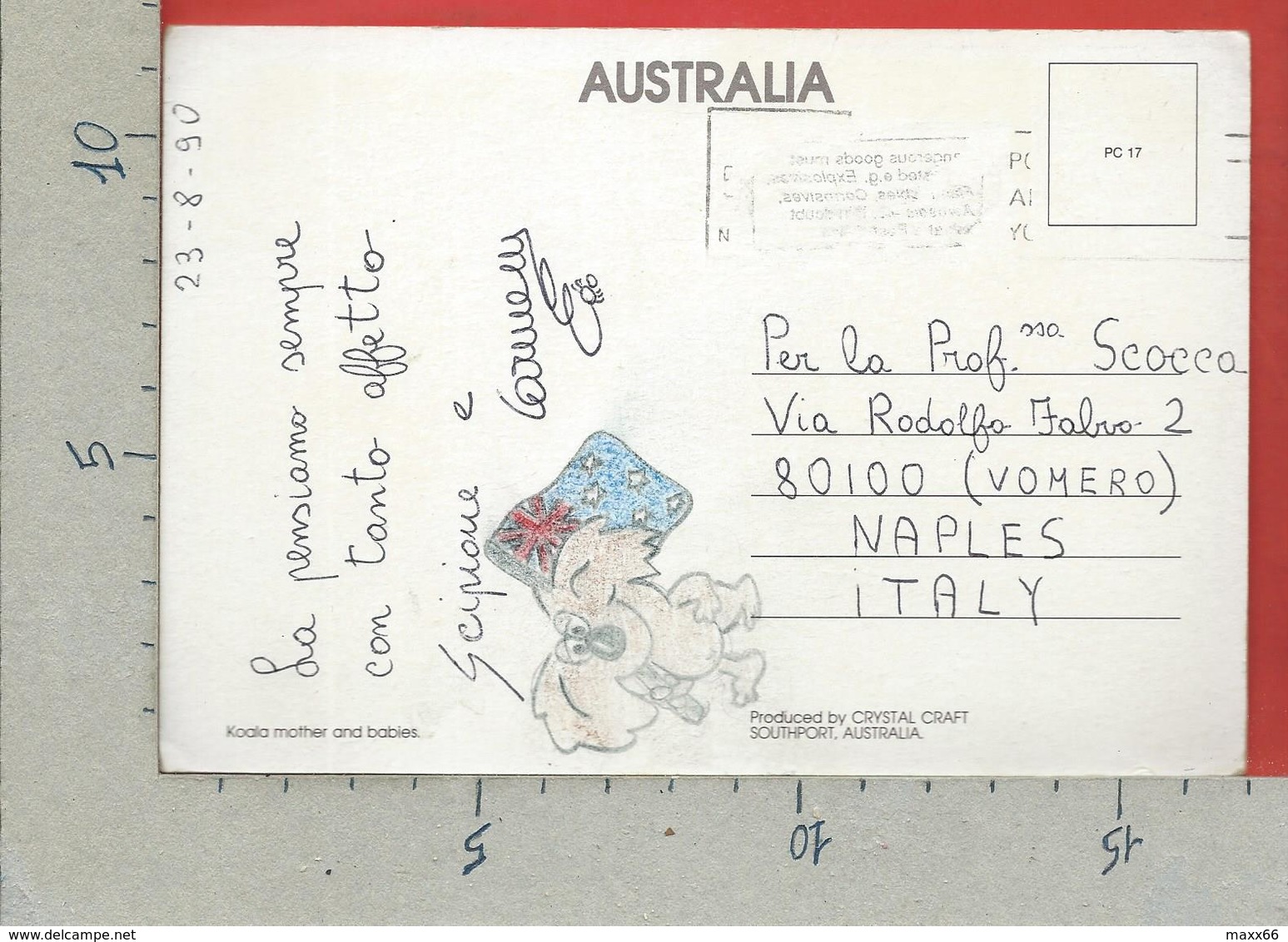 CARTOLINA VG AUSTRALIA - Koala - 12 X 17 - 1990 - Altri & Non Classificati