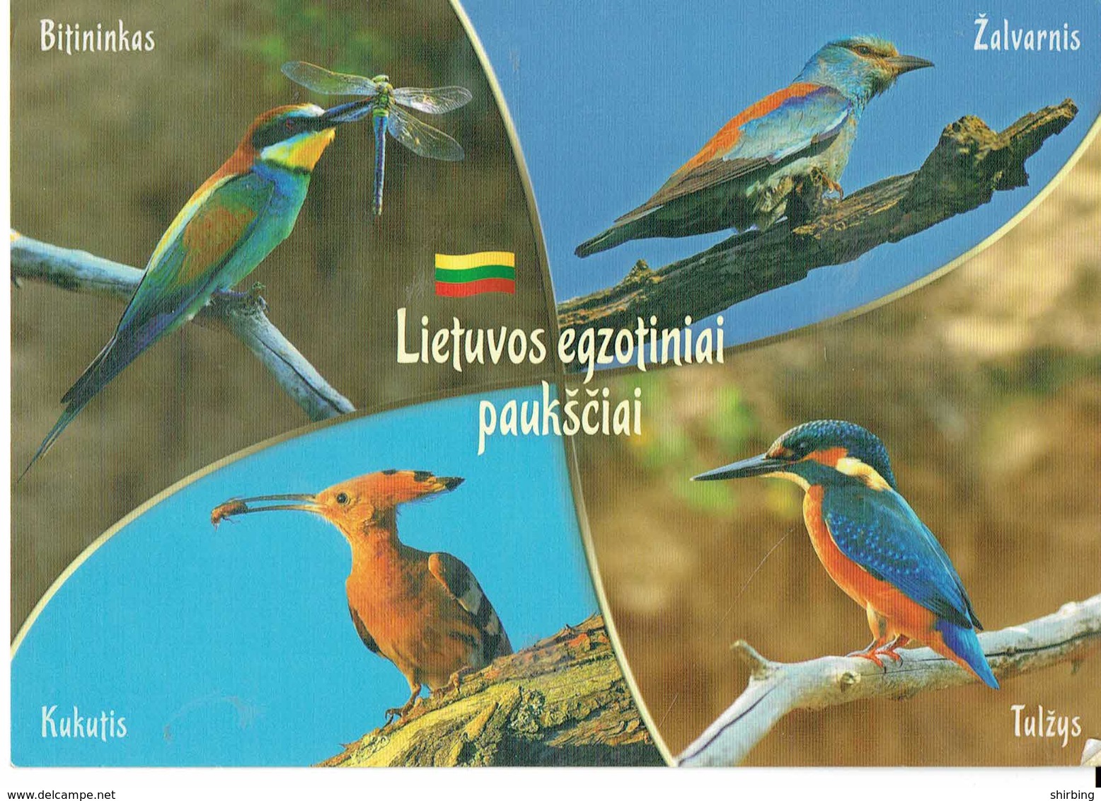 26E :Latvia Penguin Bird Stamp Used On Bird Multiview Postcard - Latvia